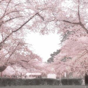 Meet your Posher, Ella